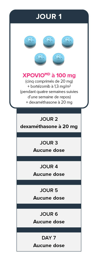 Tableau indiquant les doses de XPOVIO MD pour 7 jours